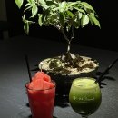 해피프레즌트 | [대구] 사진이 없어 후기를 못 쓴 카페 모음