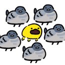 스고이오뎅 이미지