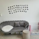 댕댕이 애견샵 이미지