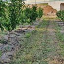 몽실농장 이미지