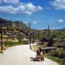 1950년대의 서울모습 이미지