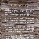 옴천사 아미타불 | 남도답사 1번지 강진 여행 #1 - 천연기념물 동백 숲, 청빈한 삶을 위한 백련결사, 다산 초당을 이웃한...