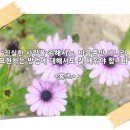 소소시스터 네이버블로그