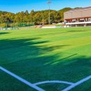 축구장 본부석 이미지
