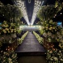 한국피엔지노동조합 | 여의도 어두운홀 추천 여율리 투어 후기 및 2027년 상반기 견적 공유