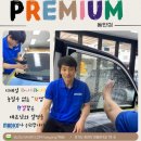 마디코썬팅