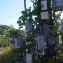 관동경로당 이미지