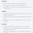 더핀 이미지
