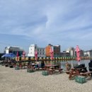 🐠 안산 대부도 서울바다낚시터로 물고기 잡으로 총총 🐠 feat.16호원조할머니칼국수
