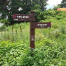 김흥농장 Daum카페