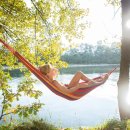 치유의 바람 이미지