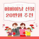 어버이날 선물 20만원 추천, 직접 선물한 실용성 만족도 BEST5