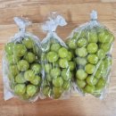 샤인세탁소 이미지