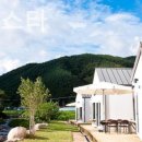 테라스타 이미지