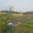 상식 축사 이미지