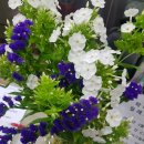 수지골프클럽 이미지