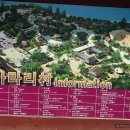 정선아라리촌