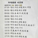 수산버스터미널 네이버블로그