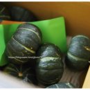 (주)맘스팜 | 제주맘스팜 - 미니밤호박, 보우짱! 먹으면 입에서 달달함이 느껴져요