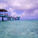 카페피시후 이미지