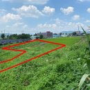 이천단월초교 이미지