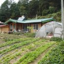 흙공인중개사사무소 이미지