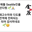 금선다원