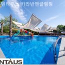 텐타우스 네이버블로그