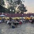 라우 | [싱가포르] 뉴턴 푸트 센터 후기, 라우파삿 야시장보다 만족스러운 방문기(+칠리크랩 시세)