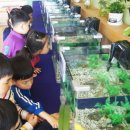 연천노곡초등학교 이미지