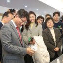 청년문화와 기술의 융합놀이터, 경북대 혁신타운 | 와일디즘 대구 북구 2024 스마트스타트업 인큐베이팅 사업 성과공유회 참가