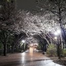 율하근린공원 이미지