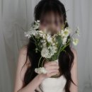 사파동201 이미지