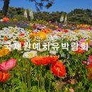 태안국제원예치유박람회 꽃치유박람회 태안축제 다녀온 후기