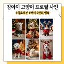 2023-0097 | 실사같은 헬로우봇 강아지 고양이 ai 프로필 후기