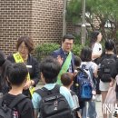성성초 이미지