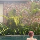 김채원 카카오 검색결과