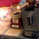 대박 노리터 이미지