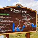 창원 웅천빙고지 네이버블로그