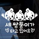 제제이네