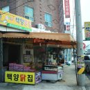 백종원 3대천왕에 나온 백양닭집 후기