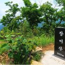 산 장 이미지