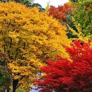 청성역사공원1 이미지