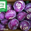 Re: 제주 친환경 유기농 콜라비 50% 맛보기이벤트 당첨자 발표 이미지