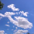 월성인쇄 이미지