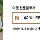 영희네케이크