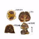 행복밀