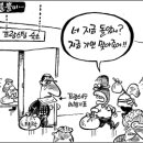 피부색에 연연하는 한국? 이미지