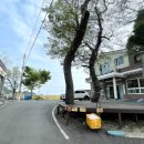 천하마을야영장 이미지