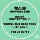 일등유통 | 속초 에그타르트 맛집 마카오박 예약방법 방문후기 주차꿀팁 기념품